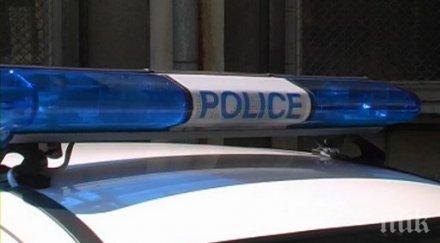 пежо помете жена зебра