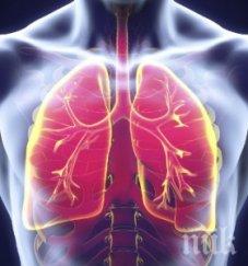 велощафета садене дръвчета около езерото панчарево отбелязват деня пулмоналната хипертония