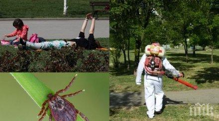 пръскат цял месец кърлежи бургас