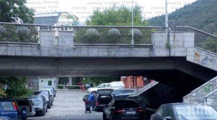 змии центъра благоевград целувайте моста влюбените дебнат пепелянки