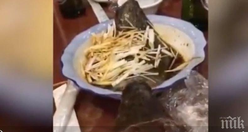 Шок! Риба скочи от чиния  в китайски ресторант (ВИДЕО)