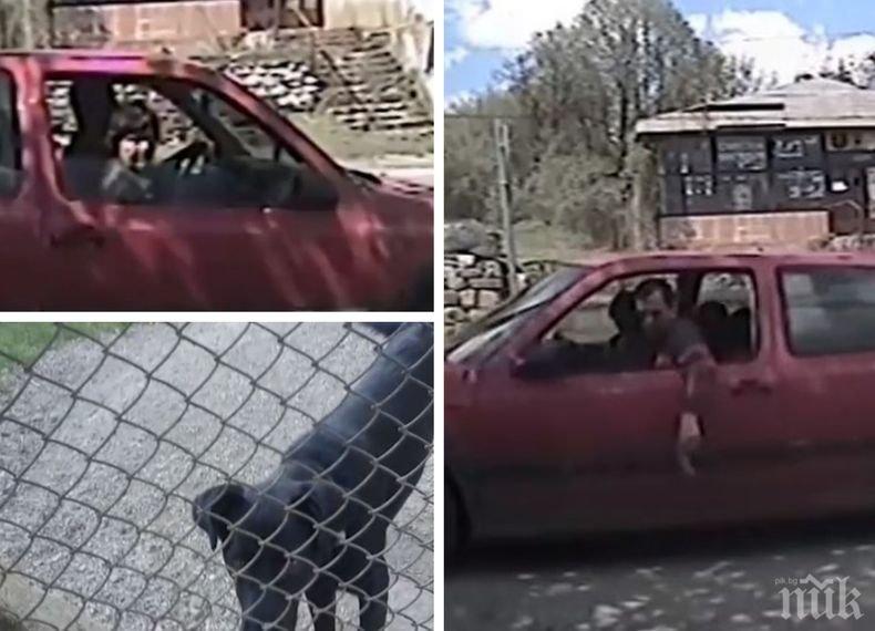 Шокиращо! Хванаха мъж и жена, които масово тровят кучета в района на Драгоман