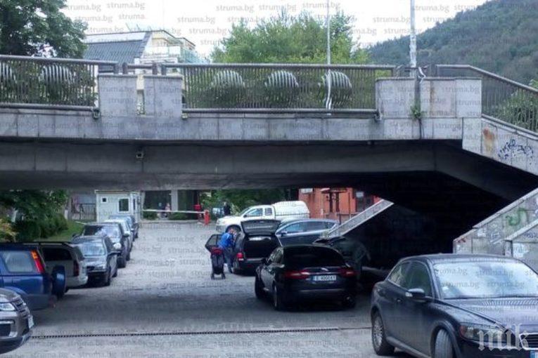 Змии в центъра на Благоевград! Не се целувайте под Моста на влюбените, дебнат пепелянки