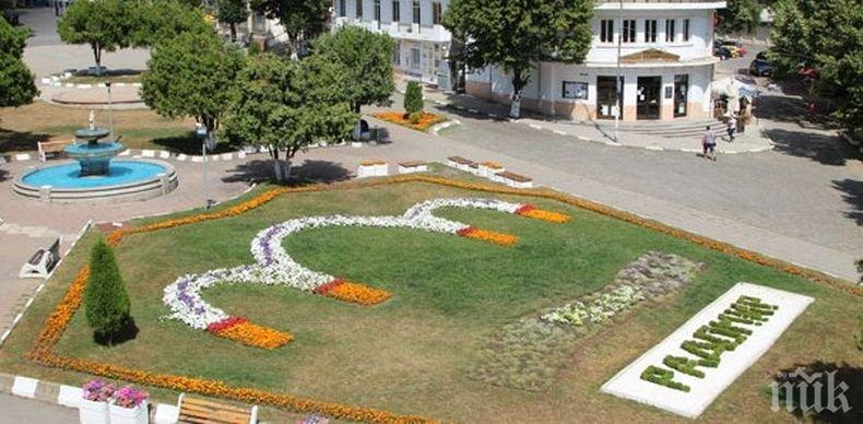Акция! Община Радомир осигурява цветя за засаждане на жители, поддържащи общински площи