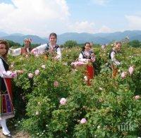 ПРОЛЕТЕН ПРАЗНИК! Розоберът започва до дни