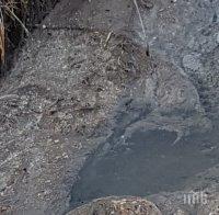СМРАД!  Животновъди заливат с фекалии река във Враца