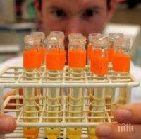Пробив! Холандски учени успяха да създадат ембрион от стволови клетки Пробив! Холандски учени успяха да създадат ембрион от стволови клетки