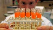 Пробив! Холандски учени успяха да създадат ембрион от стволови клетки