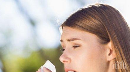 полезни съвети различим алергия настинка