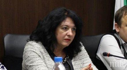 последните минути избраха мариника чернева зам председател вас