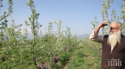 монаси отглеждат биопродукти парите тях вдигат църква