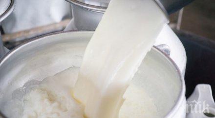 опасност алъш веришът мляко кюстендил върви всеки ъгъл