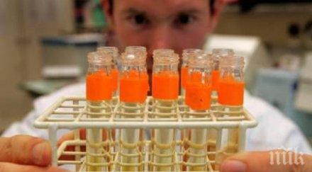 пробив холандски учени успяха създадат ембрион стволови клетки