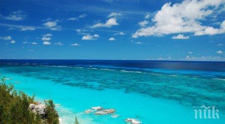 биолози откриха 100 непознати морски вида загадъчната океанска зона здрача