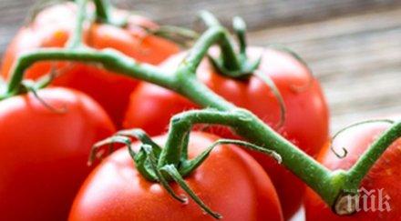 полезно сезонни продукти помагат отслабване