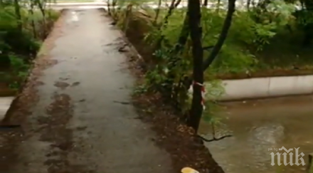 пълен шаш мост перила