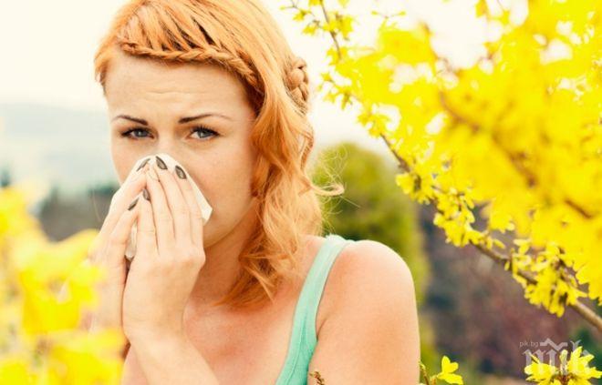 Всеки трети българин страда от алергия - как да победим сенната хрема и полените от дърветата и тревите?