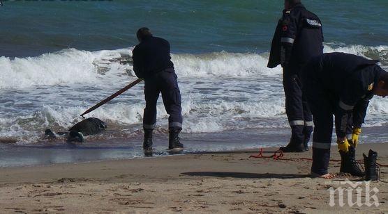 УЖАС В БУРГАС! Млад самоубиец скочи от Моста, търсят тялото