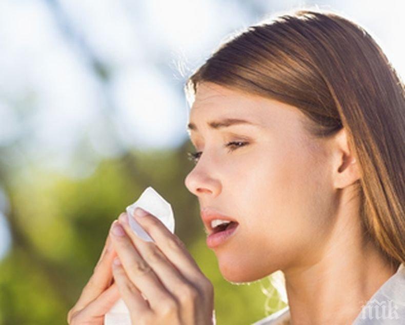 ПОЛЕЗНИ СЪВЕТИ! Как да различим алергия от настинка