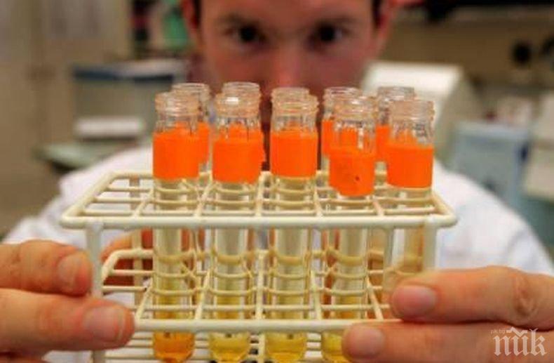 Пробив! Холандски учени успяха да създадат ембрион от стволови клетки