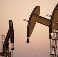 От Саудитска Арабия обявиха готовност да запазят стабилността на петролния пазар