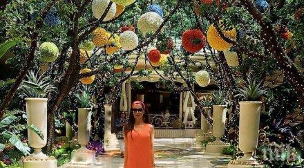 премиера галена промотира парчето мечките лас вегас пайнерки награбиха нея плюшените играчки снимки видео