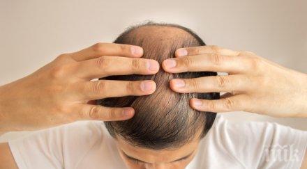 плешивото теме учени откриха лек