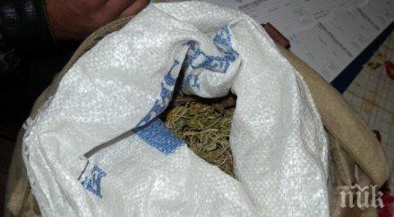 разбиха междуранордна мрежа трафик наркотици албания