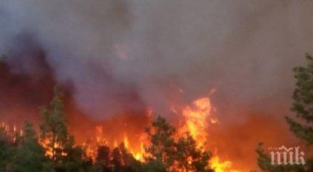 лом забраниха паленето огън горите