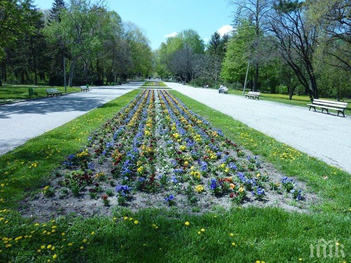 Подписват договора за възстановяване на представителната част на столичния Западен парк