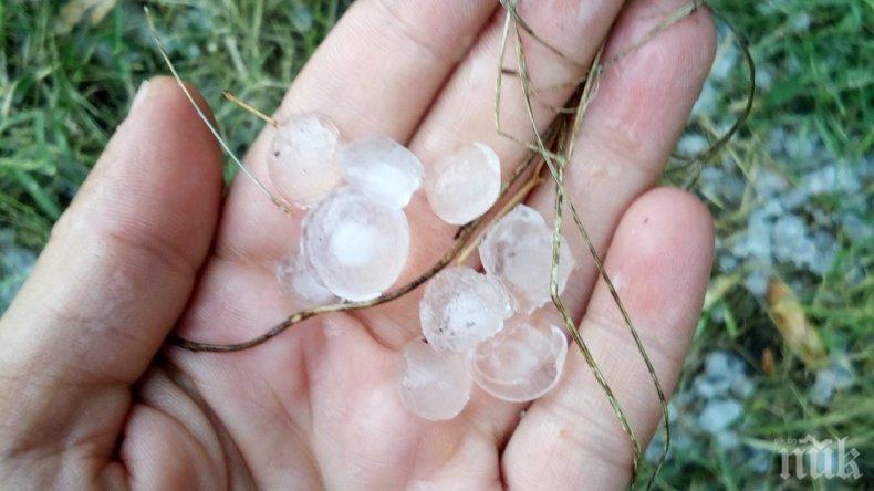 ИЗВЪНРЕДНО! Градушка удари Чепеларе