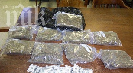 заловиха банда разпространение марихуана