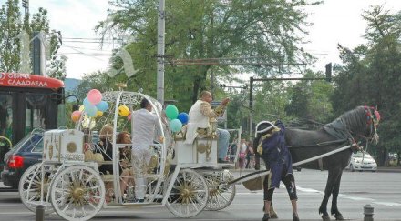 каляска екстравагантност сред абитуриентите