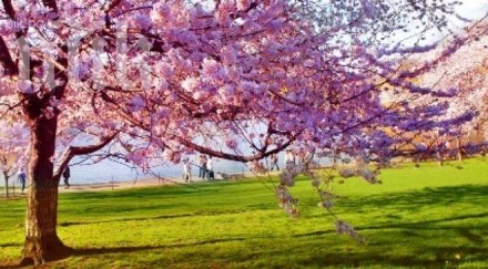 студен фронт преминава страната