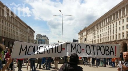 протест пестицидите тъпчат храната