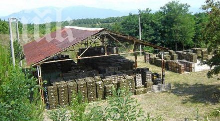 оръжейници вещаят фалити без змейово