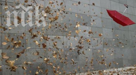 жълт код силен вятър области