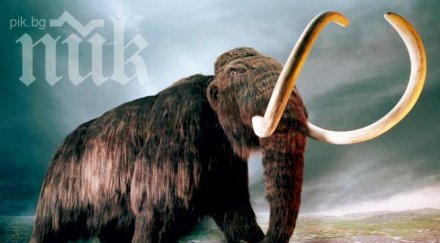 метеорит виновен изчезването мамутите