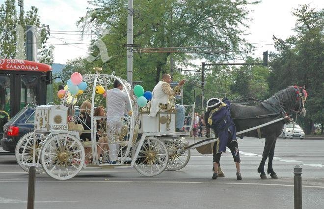 Каляска е №1 по екстравагантност сред абитуриентите