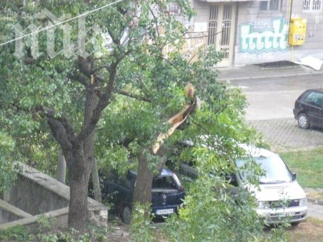 Общината в София: Махайте саксиите от терасите