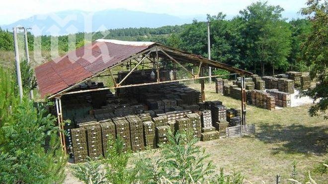 Референдумът в Змейово струва над 250 бона