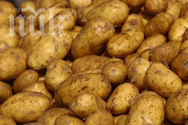 Високото кръвно налягане се регулира с картофи!