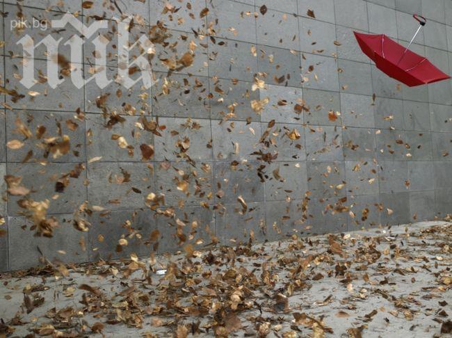 Жълт код за силен вятър в 21 области