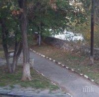 Ученици сами ремонтират парк в Асеновград