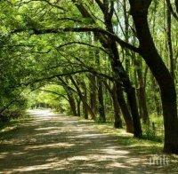 В МРРБ ще бъде подписан договорът за възстановяване на представителната част на столичния Западен парк