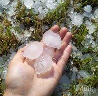 Оценяват щетите след градушката в Бяла Слатина