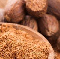 Важно! Индийското орехче предпазва черния дроб
