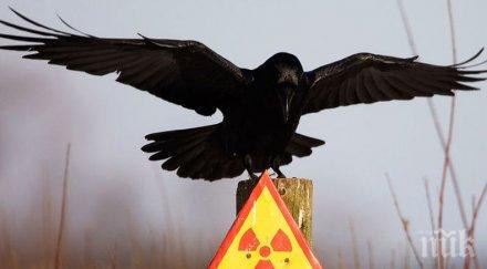 властите швеция забраниха добива уран страната