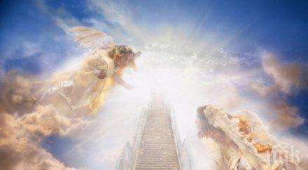 чудо момче върна мъртвите описа рая