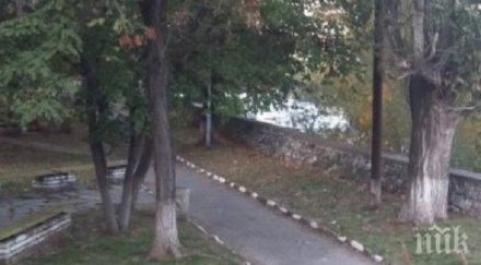 ученици сами ремонтират парк асеновград